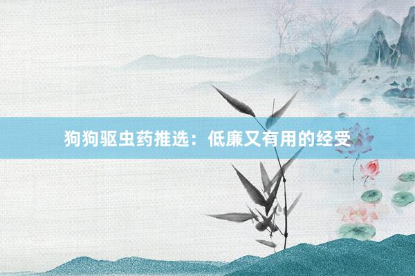 狗狗驱虫药推选：低廉又有用的经受